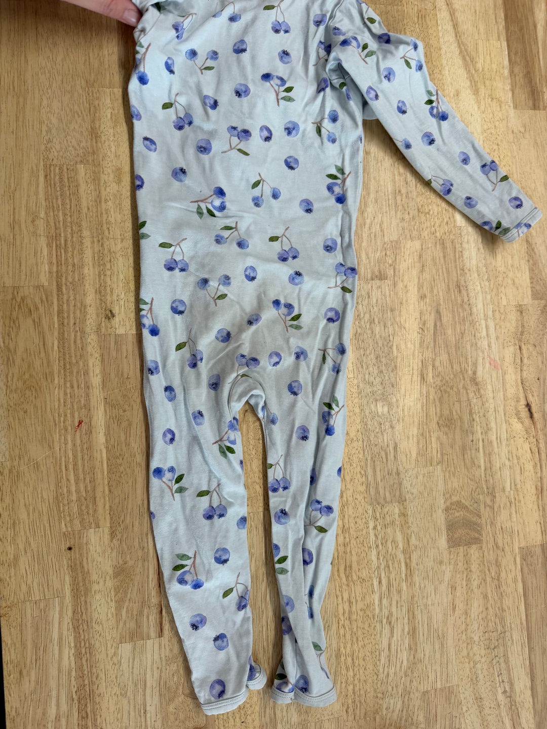 Bambi and Birdie Sleeper – 18-24 Months | Blueberry