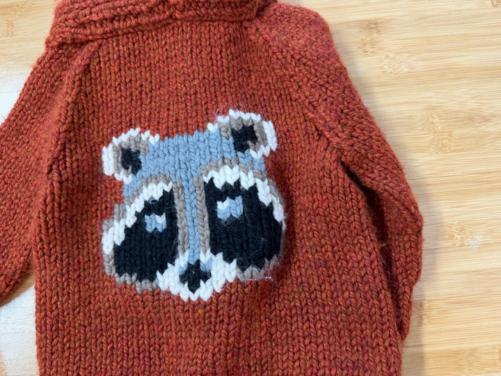 Kamp Knits Bulky Knit Sweater – 2–4Y Est. | Orange Raccoon Back