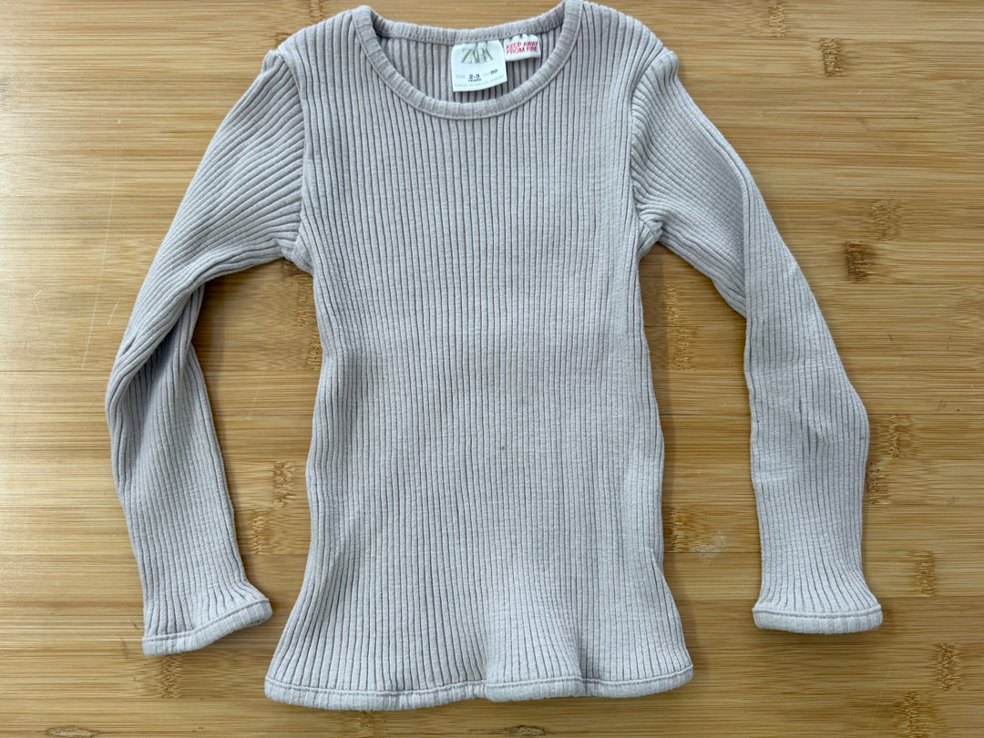 Zara Dusty Lilac Ribbed Long Sleeve Shirt – 2–3Y | Flocked Texture
