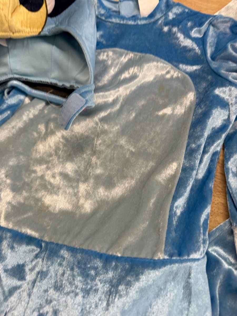 Bluey Costume – 4-6 Years - Nest and Sprout-Consignment
