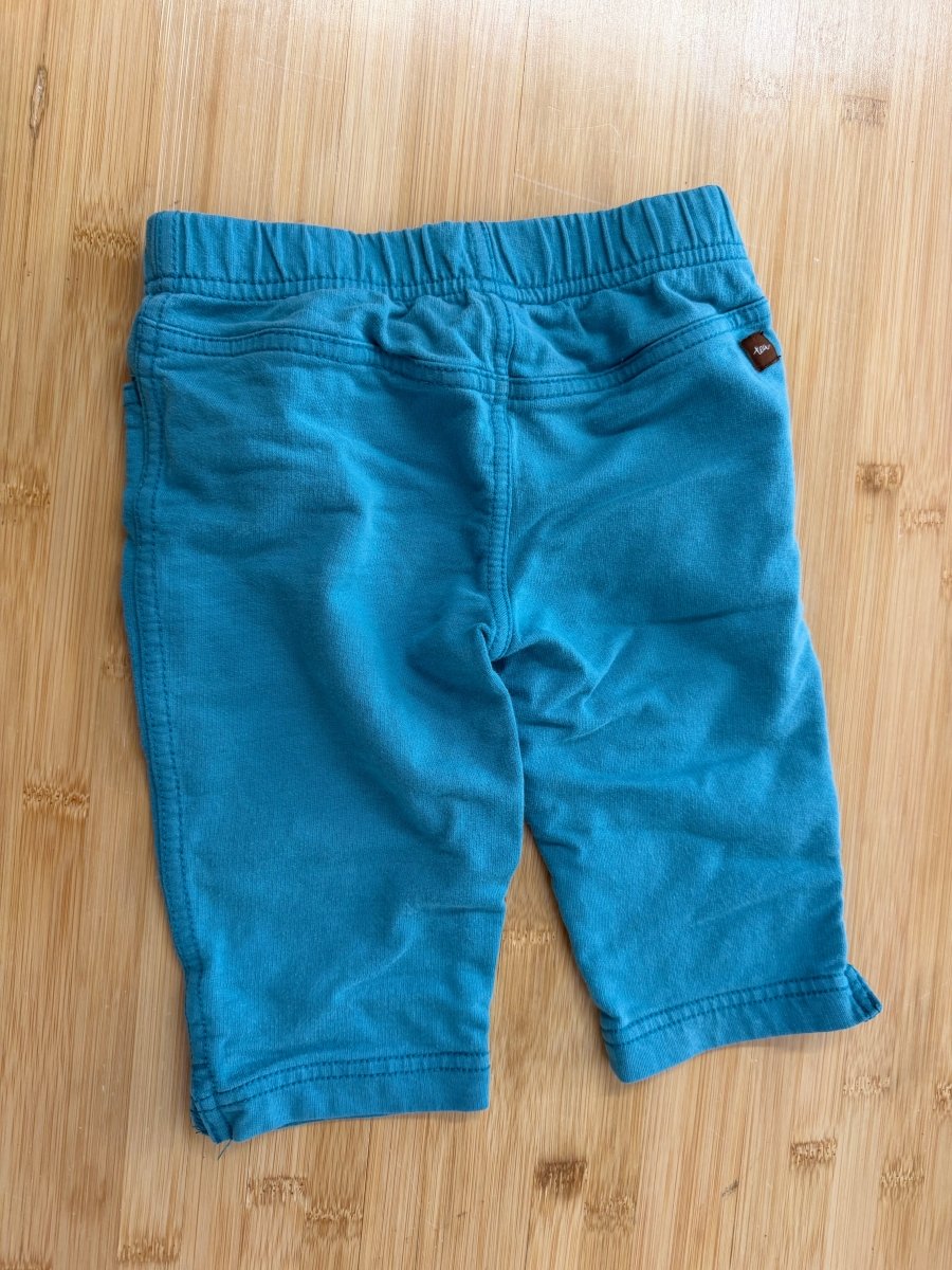Tea Collection Long Bermuda Boy Shorts – 4 | Play - Nest and Sprout-Consignment