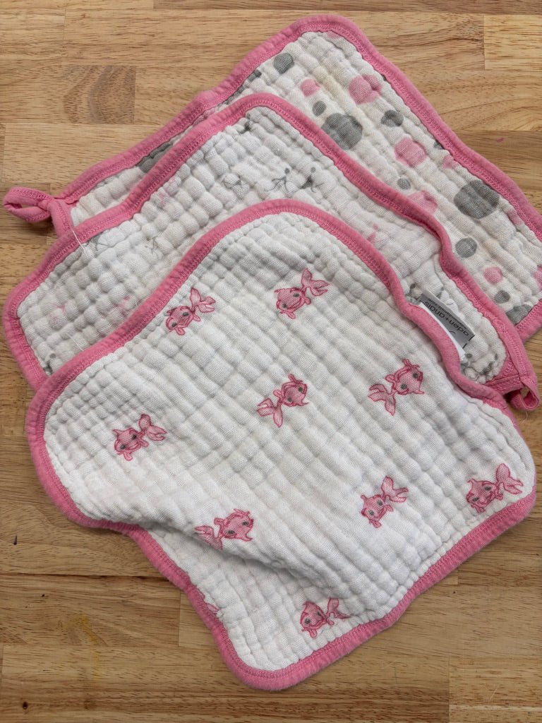 Set of 3 Aden + Anais Clothes - Nest and Sprout - Consignment