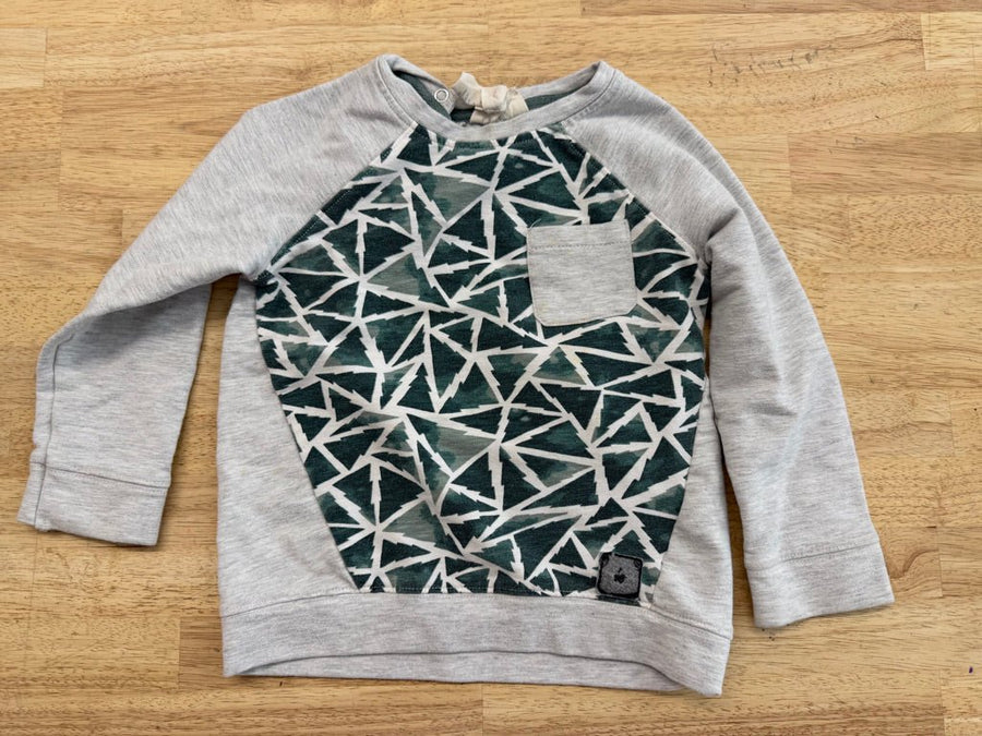 Rorie Whelan Sweatshirt – 3T | Grey Green Tree Graphic | Play - Nest and Sprout - Consignment