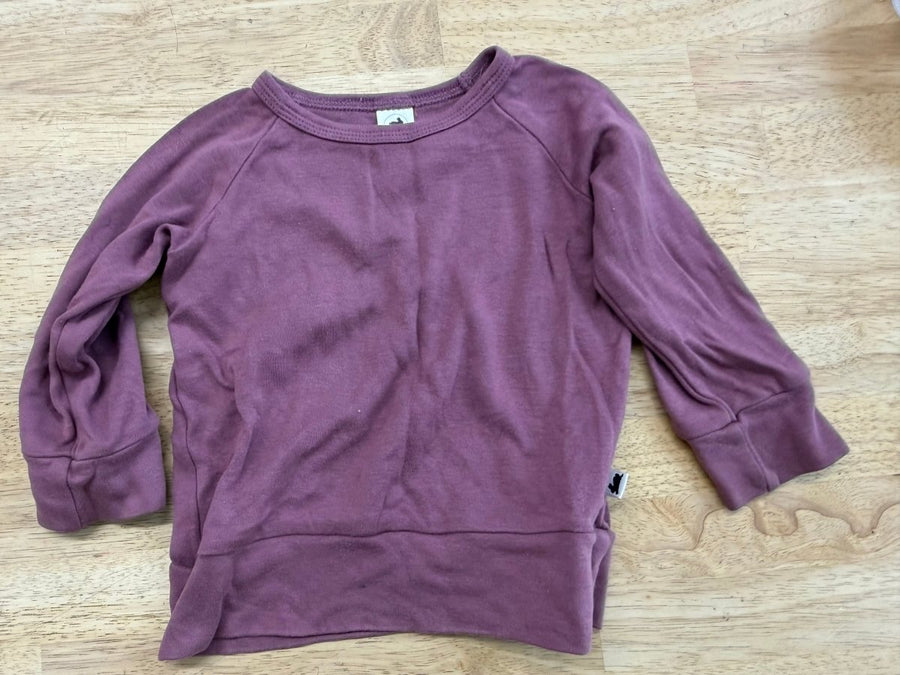 Little & Lively Purple Long Sleeve Shirt – 6–12M - Nest and Sprout-Consignment