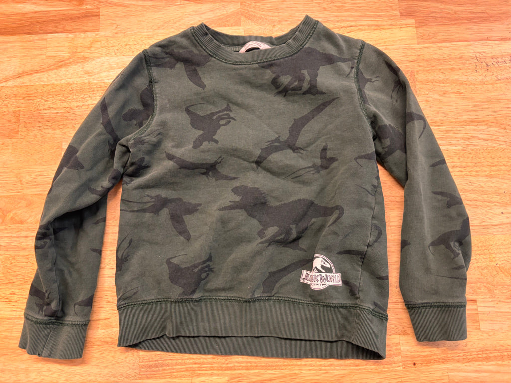 H&M Size 8–10 Dinosaur Graphic Sweatshirt