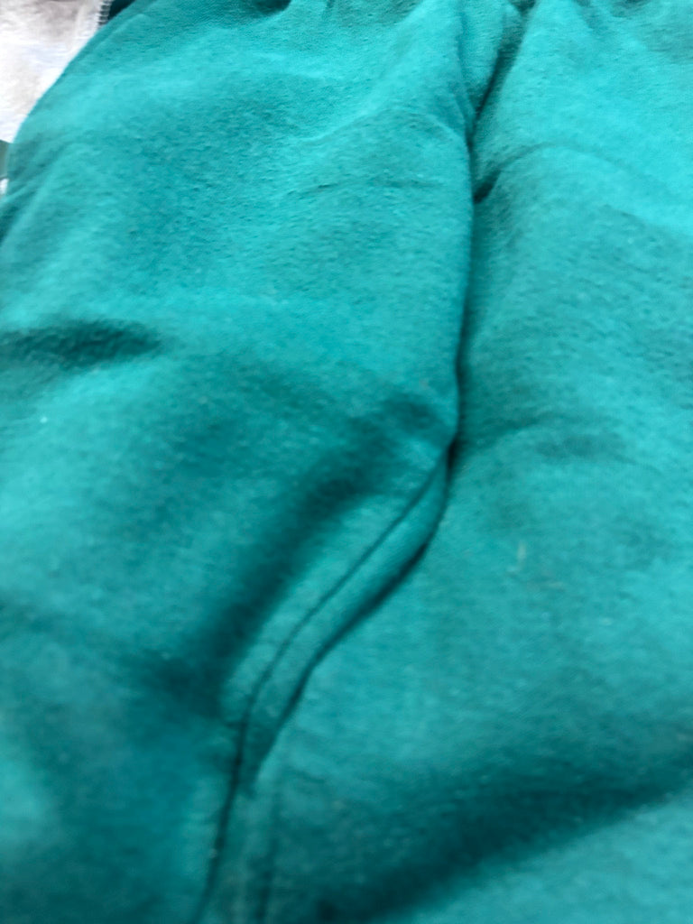 George Roar Dinosaur Set Forest Green Joggers 4T