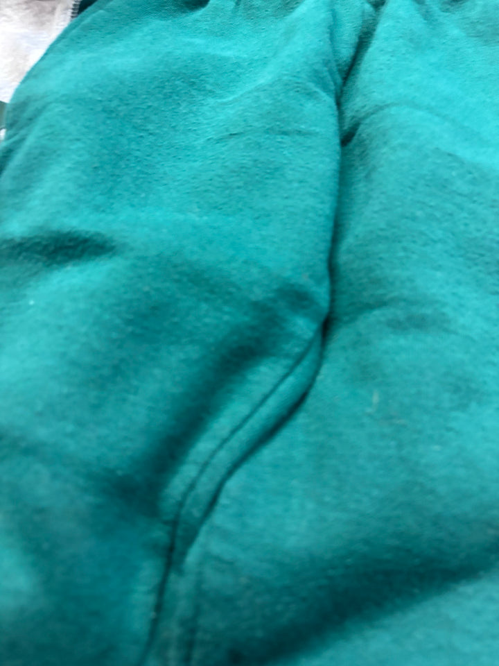 George Roar Dinosaur Set Forest Green Joggers 4T