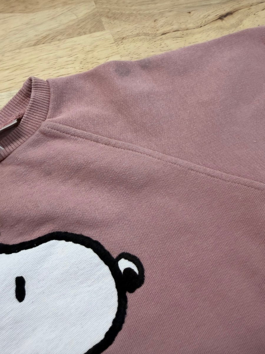 Zara Peanuts Pink Sweatshirt Dress – 18–24M | Play - Nest and Sprout-Consignment