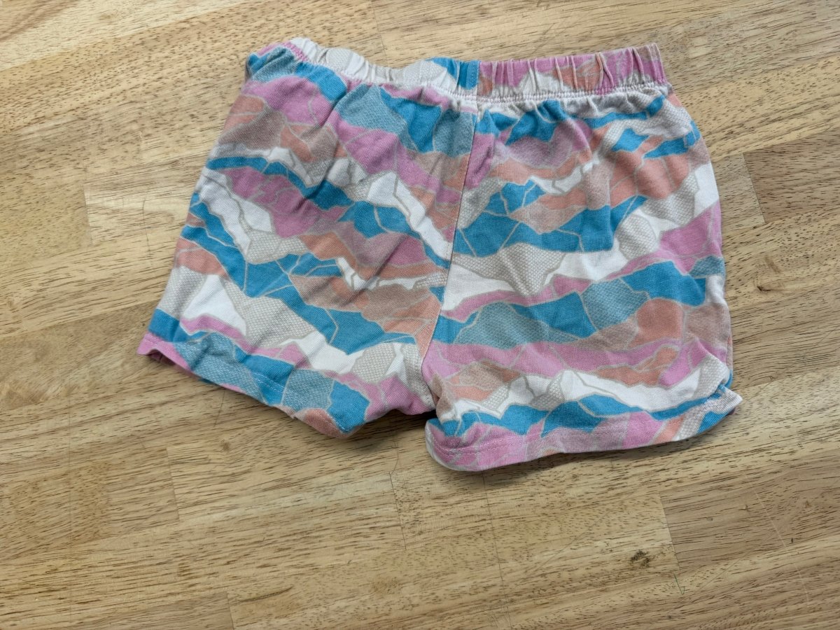 The North Face Soft Cotton Shorts – 18-24 Months | Pink and Blue - Nest and Sprout-Consignment
