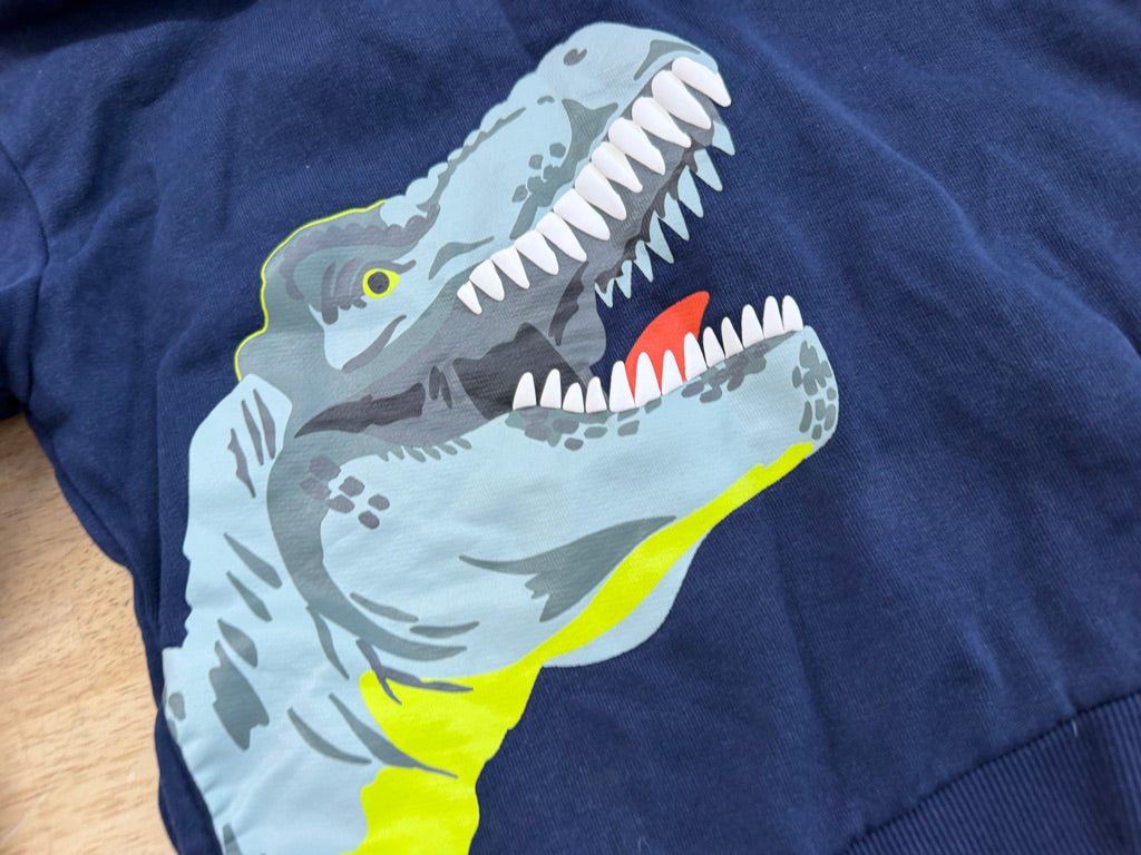 Mountain Warehouse Dinosaur Sweatshirt – Estimated 5 - Nest and Sprout-Consignment