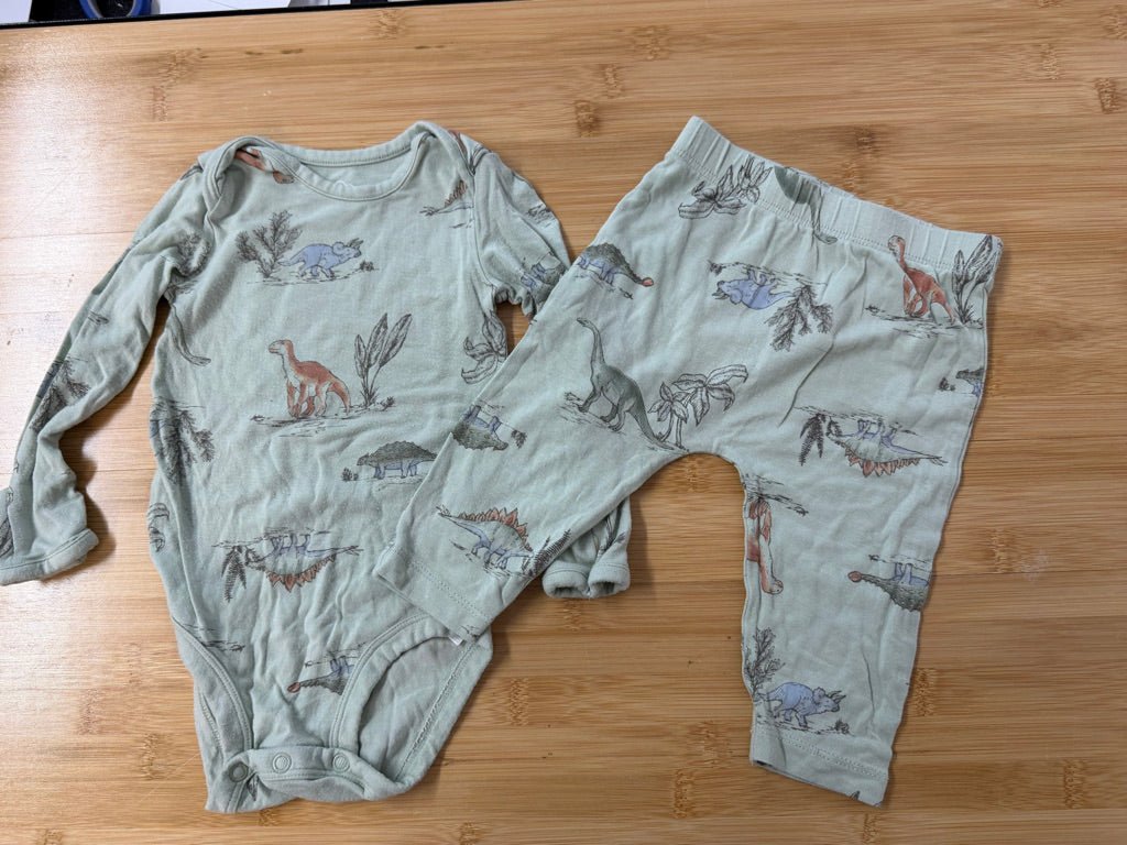 Purely Soft Dinosaur Two-Piece Set – 6M | Light Green | Play - Nest and Sprout-Consignment