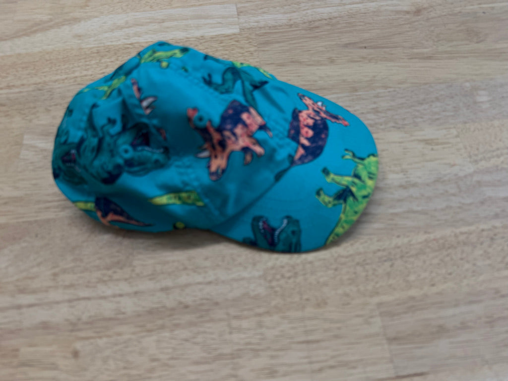 Carter's Dinosaur Ballcap – 12–24M
