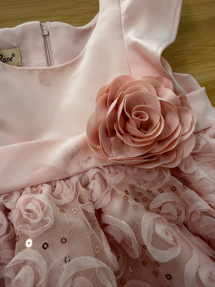 Purple Rose Special Occasion Dress – 12M | Light Pink Floral Sequin Mesh | Play