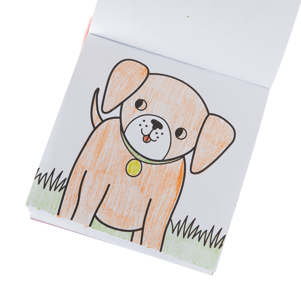 Carry Along! Coloring Book and Crayon Set - Pet Pals - Set of 9 Crayons - Nest and Sprout - Ooly