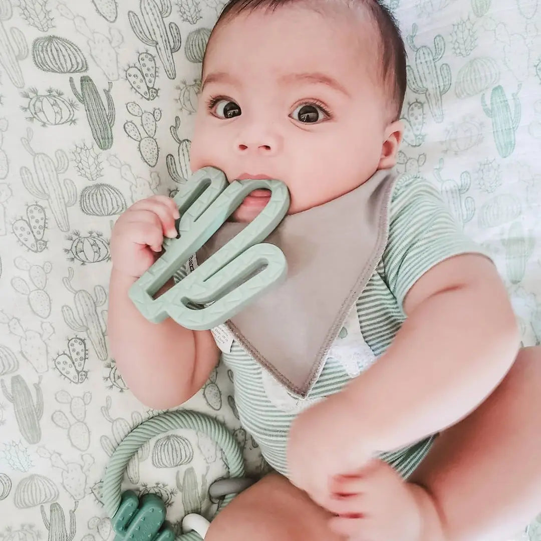 Chew Crew™ Silicone Baby Teethers