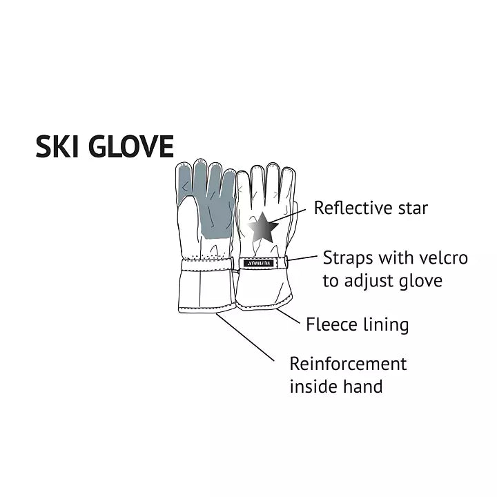 Winter Ski Glove | Acai