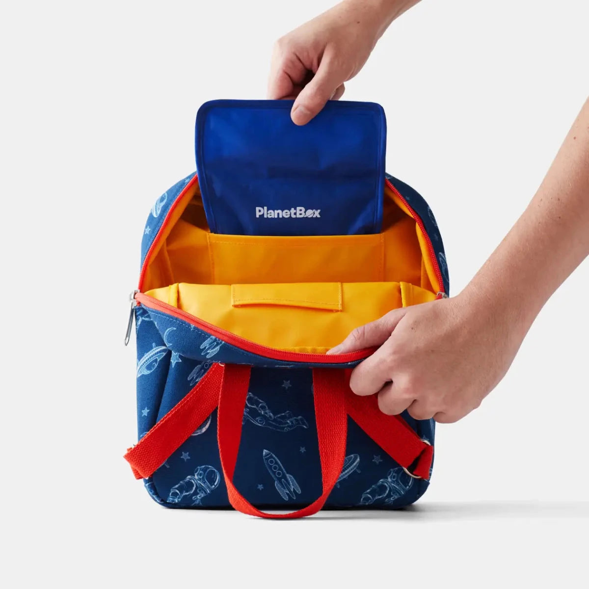 Planetbox Cool Pack - Nest and Sprout - Planetbox