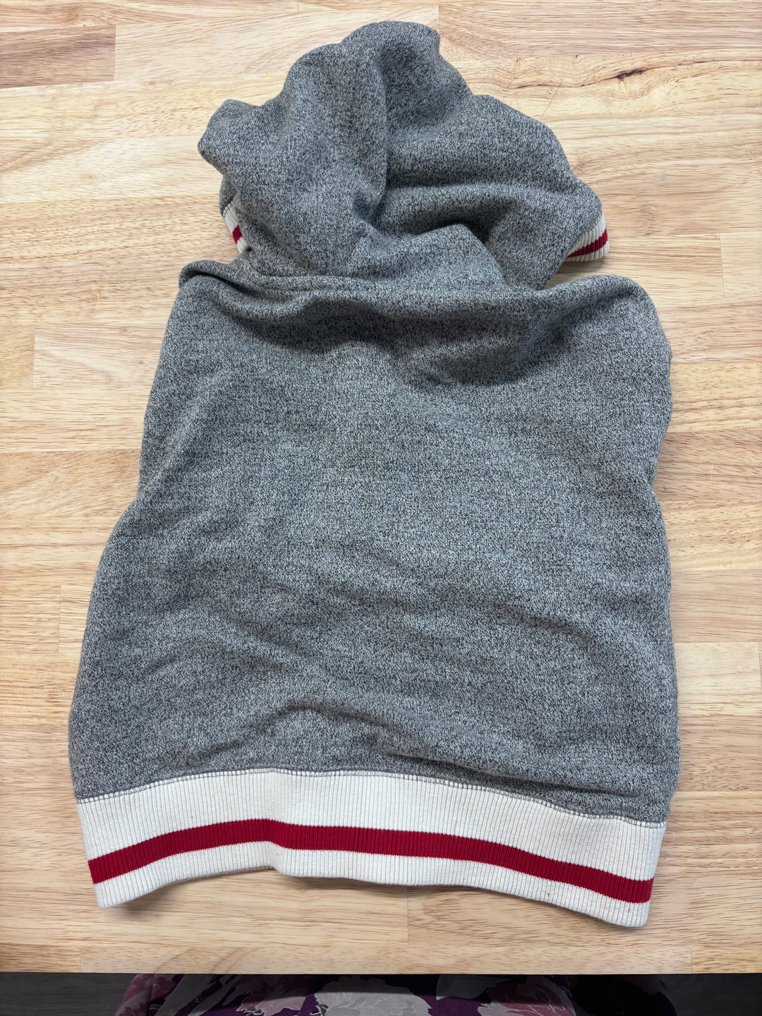 Roots Cabin Hoodie (Size 5T, Zip-Up) imperfect