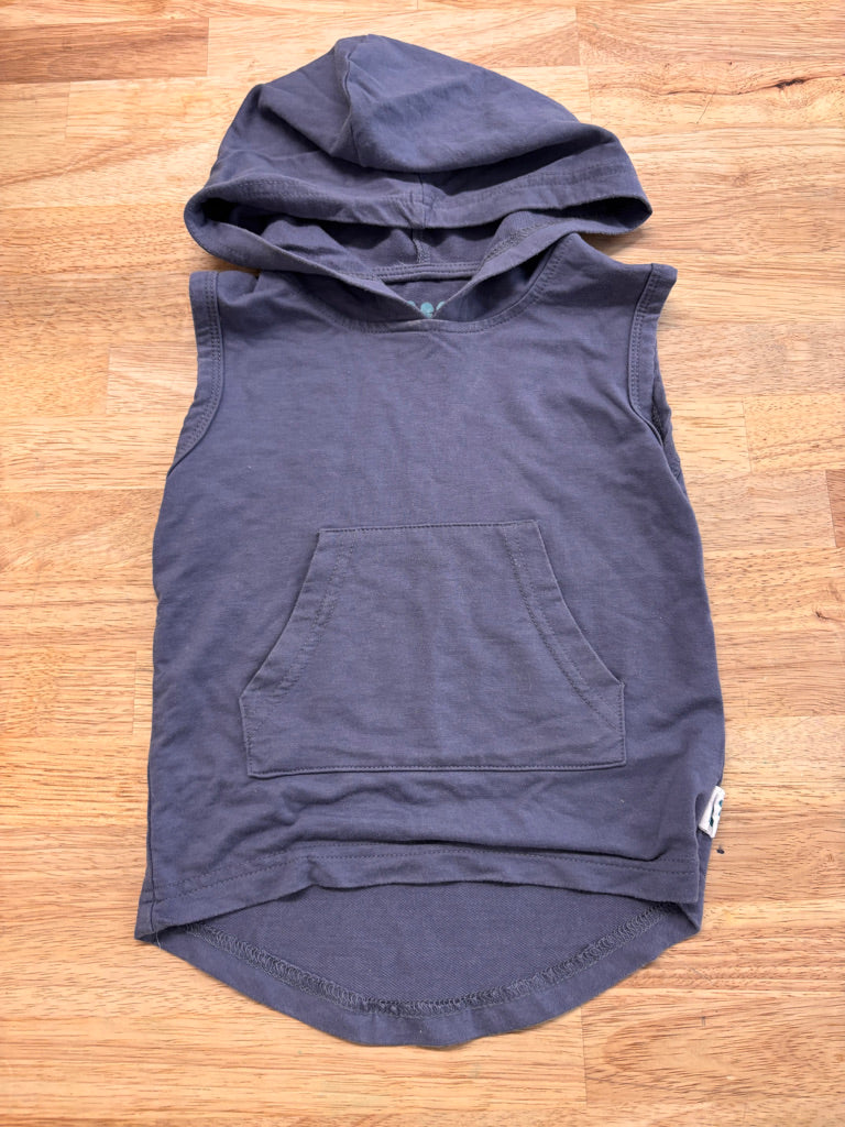 Duck Duck Goose 12-18 Months Sleeveless Hoodie