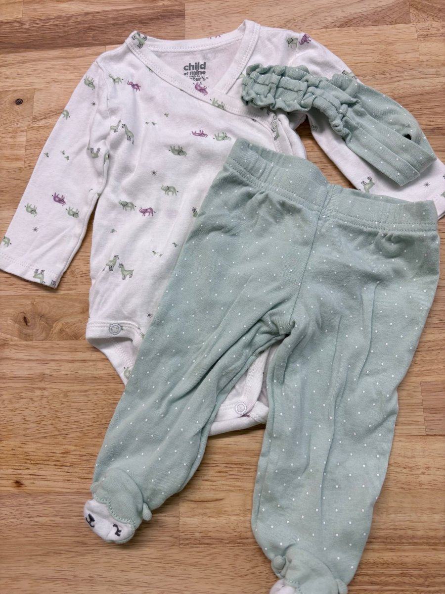 Carters 6 Month Set - Nest and Sprout - Consignment