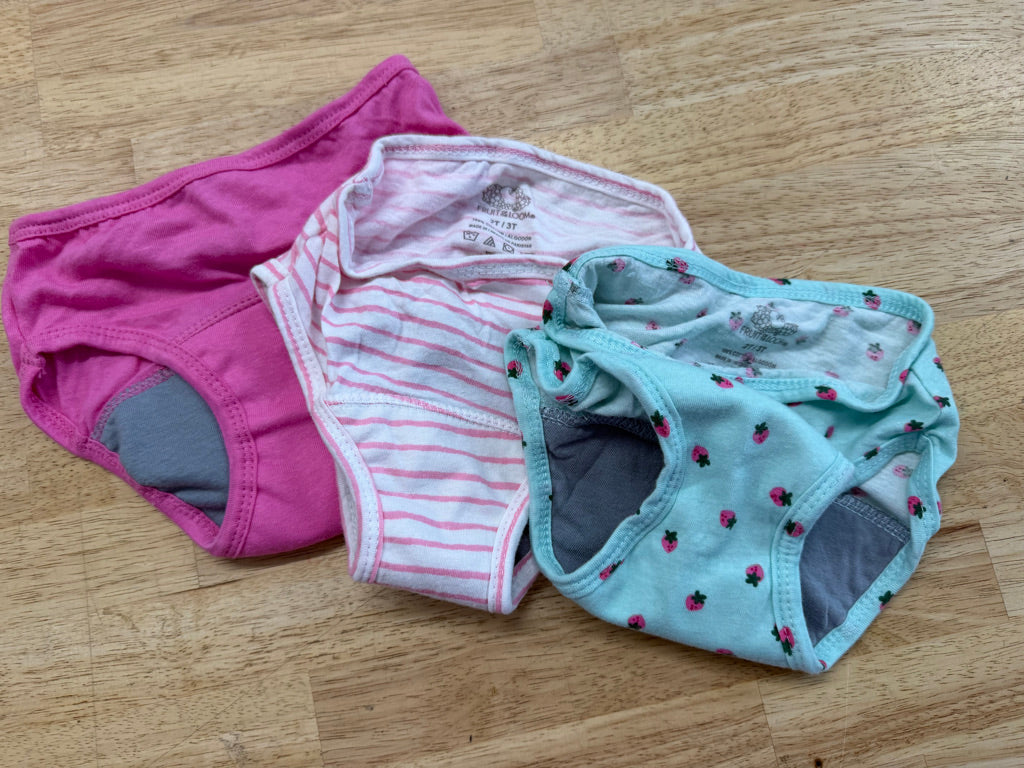 Fruit of the Loom Training Underwear Set of 3 – 2/3T | Like New