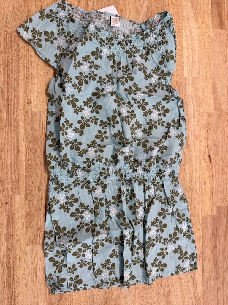 Tea Collection Dress – 5 | Wash Blue with Green Fauna Print | Play Condition - Nest and Sprout-Consignment