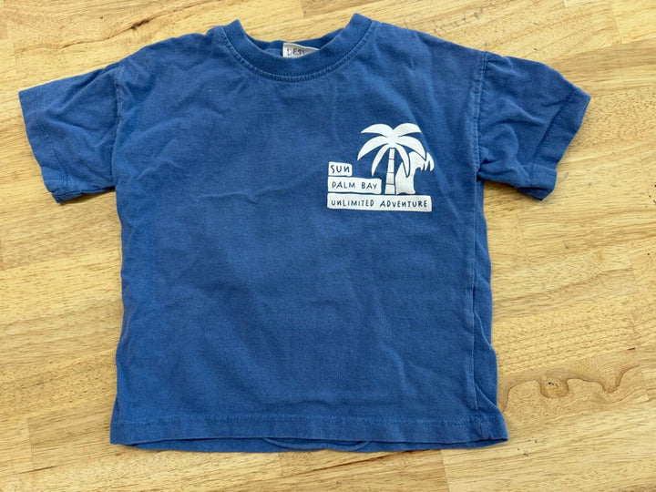 Zara Shirt – 3 | Sun Palm Bay Unlimited Adventure - Nest and Sprout - Consignment