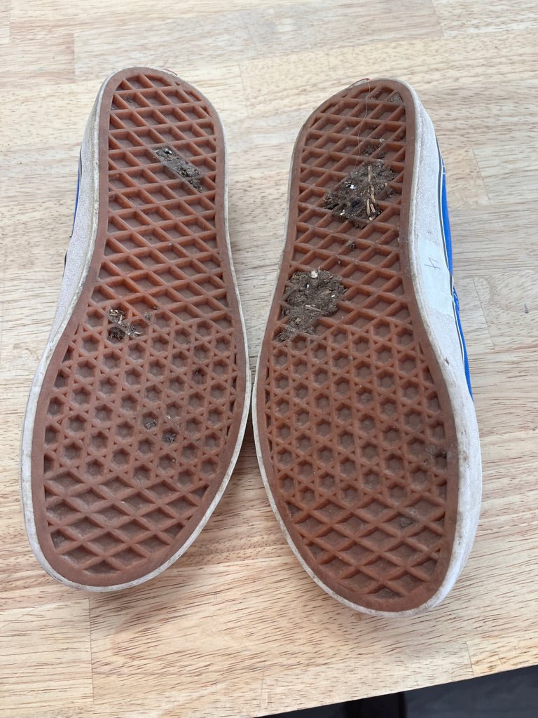 Vans Lace - Up Sneakers – Youth 4 Blue - Nest and Sprout - Consignment