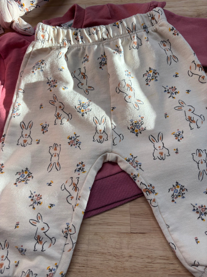 PL Baby Rabbit Set (9 Months)