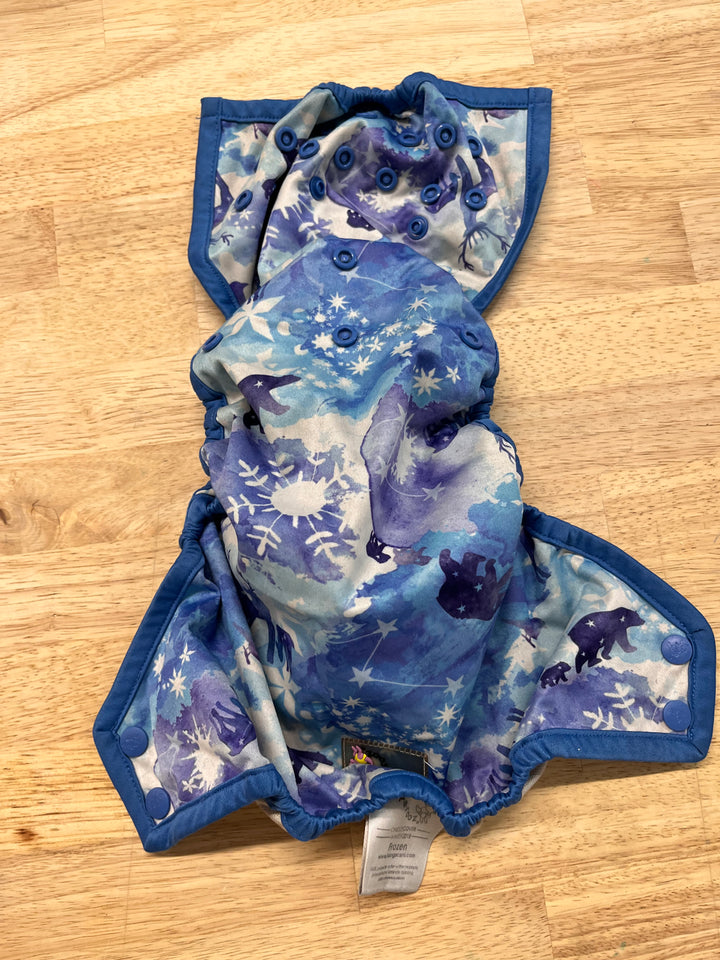 Rumparooz Diaper Cover – OS (Frozen Print)