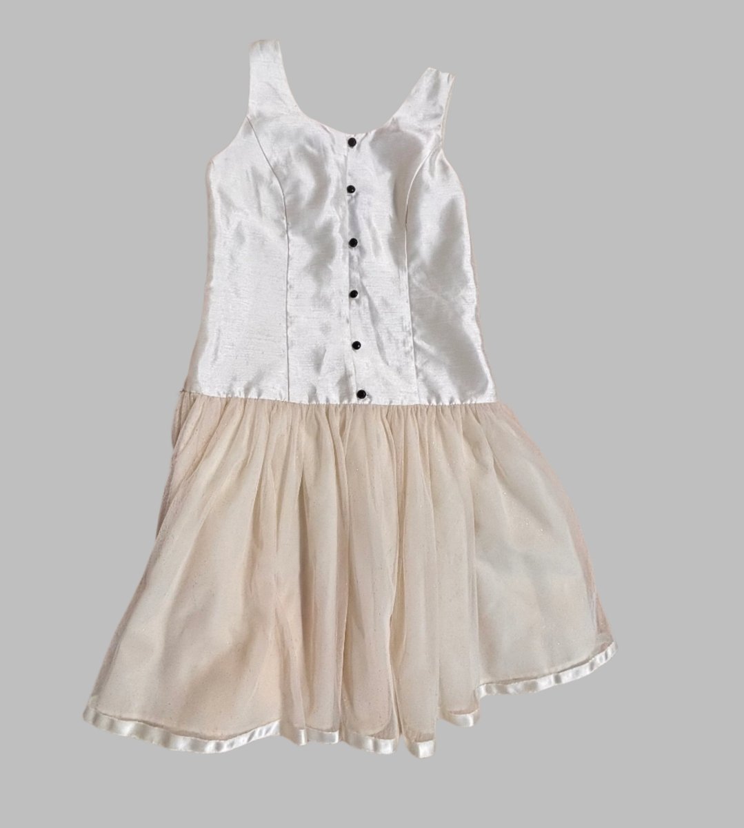 Chaps Size 10 Dress, Drop Waist with Tulle Skirt - Nest and Sprout - Consignment