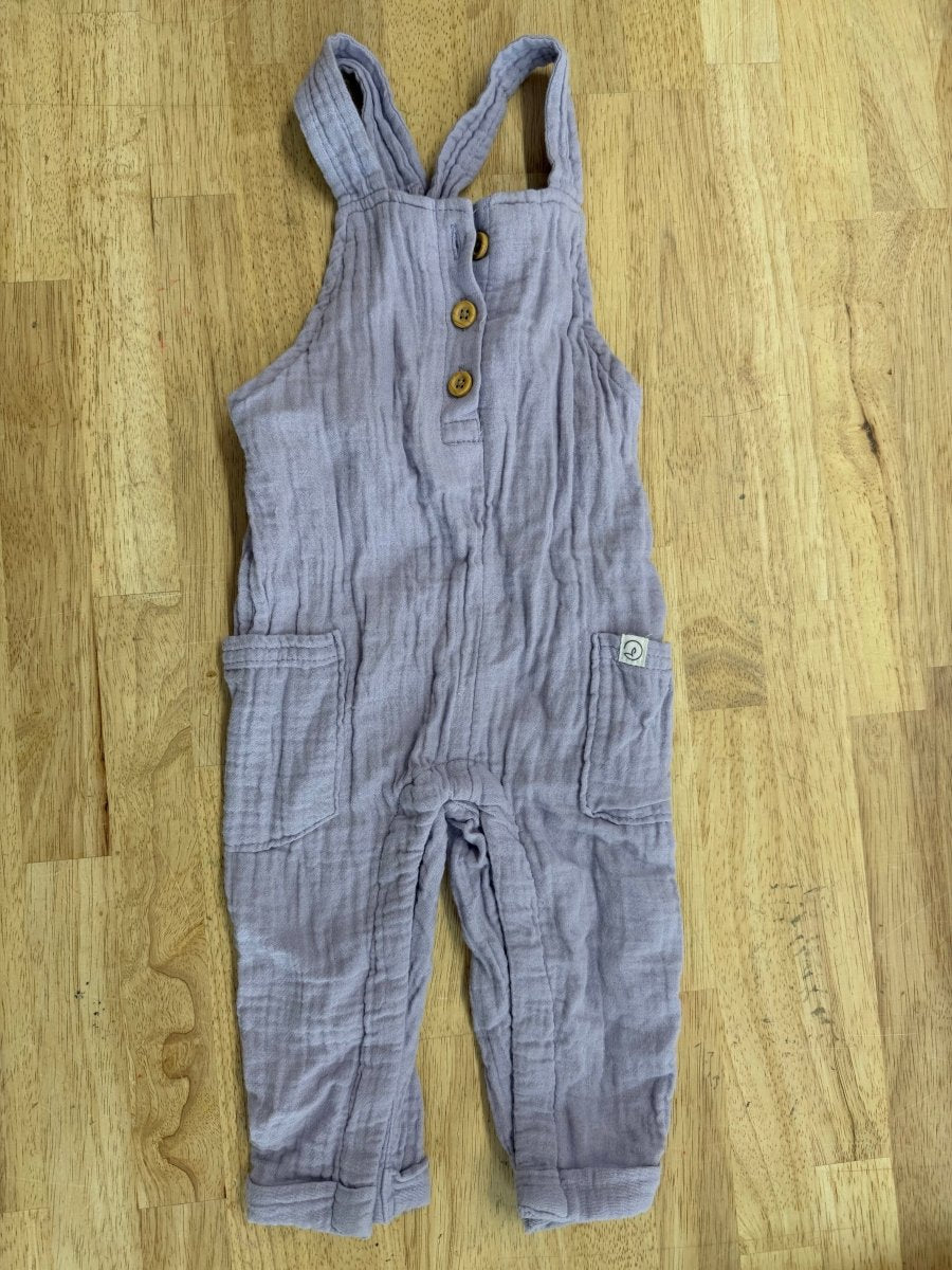 Little Planet by Carter’s Muslin Romper Purple | 9M - Nest and Sprout - Consignment