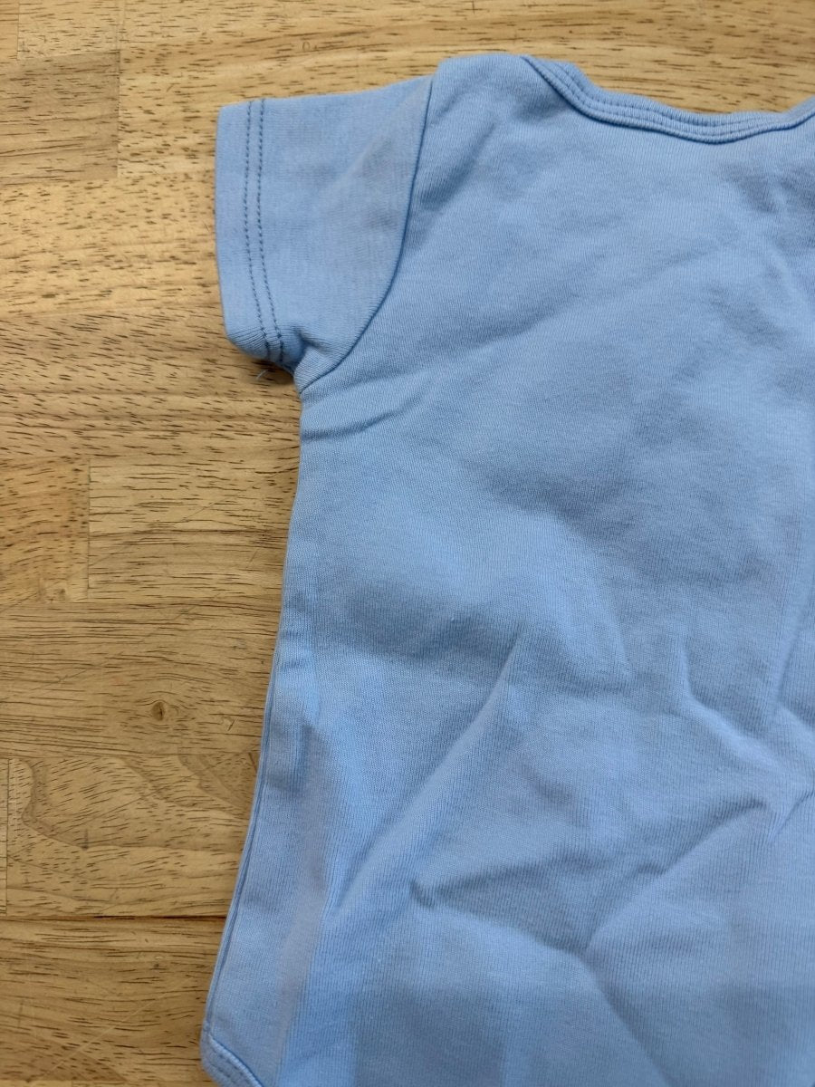 Prince George Lake Bodysuit – 0–3M | Light Blue - Nest and Sprout - Consignment