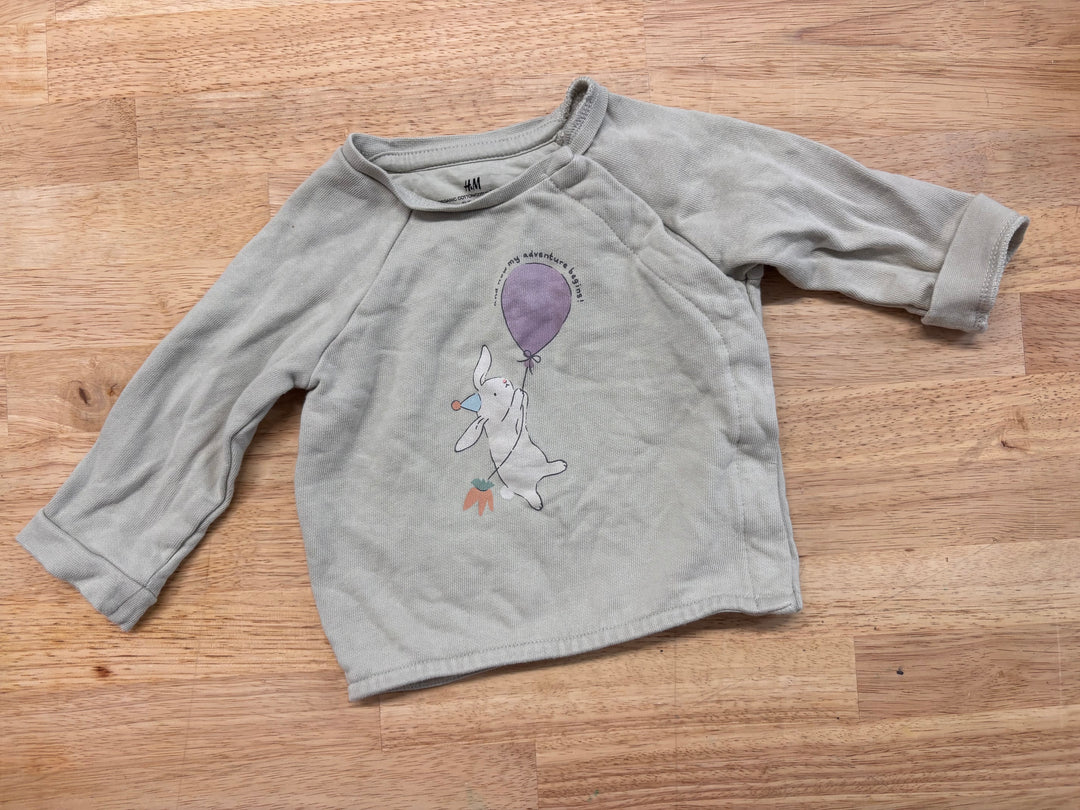 H&M 3M Bunny Sweatshirt