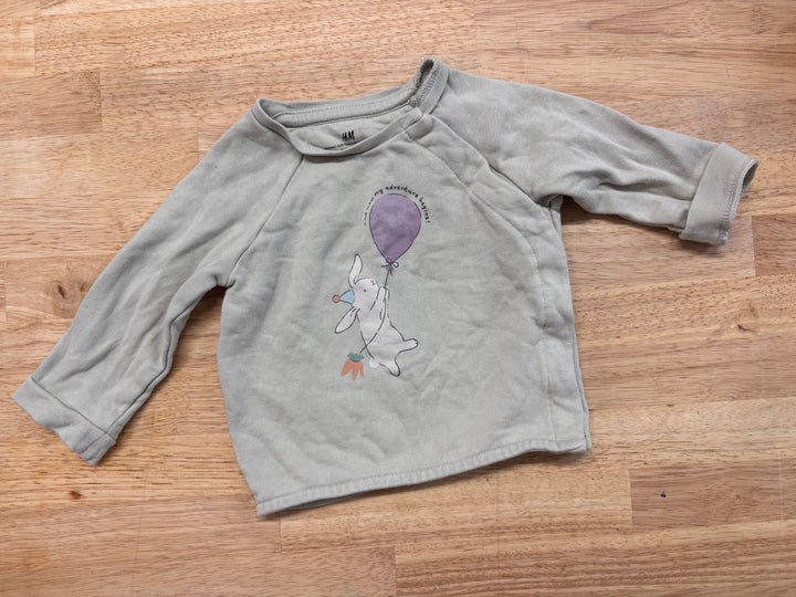 H&M 3M Bunny Sweatshirt