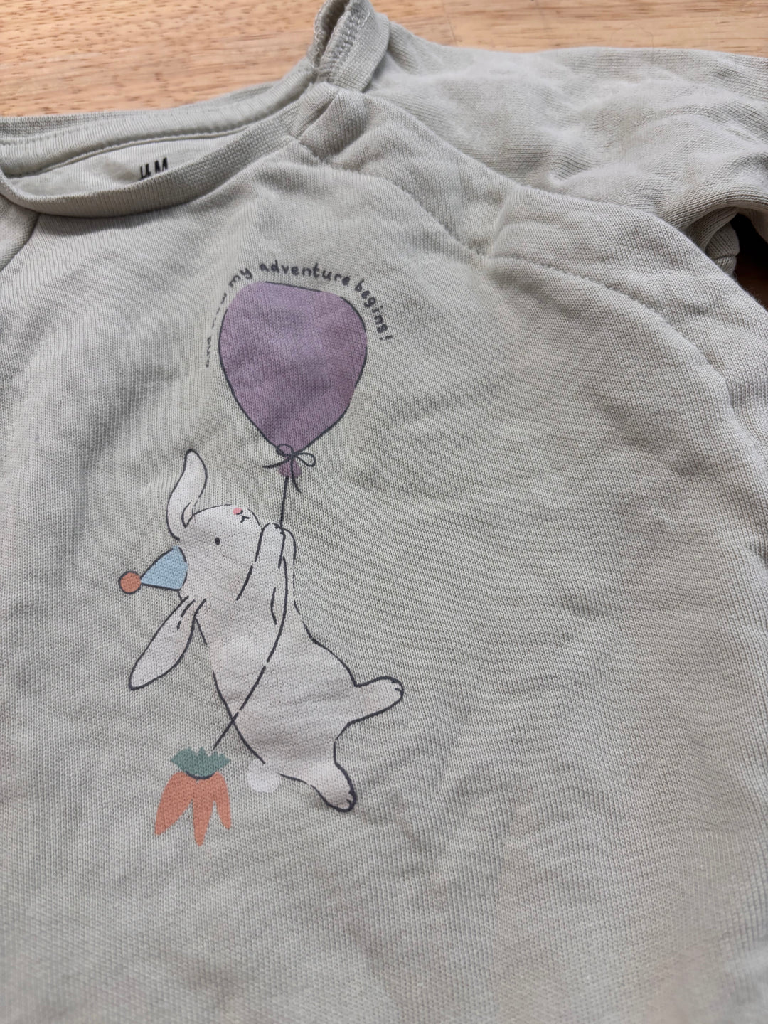 H&M 3M Bunny Sweatshirt