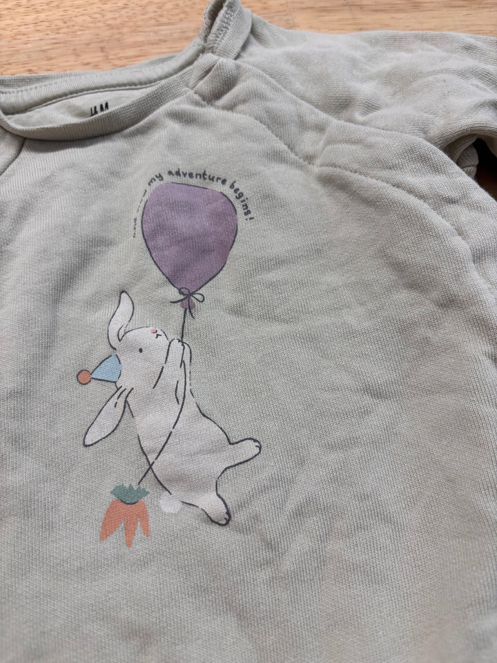 H&M 3M Bunny Sweatshirt