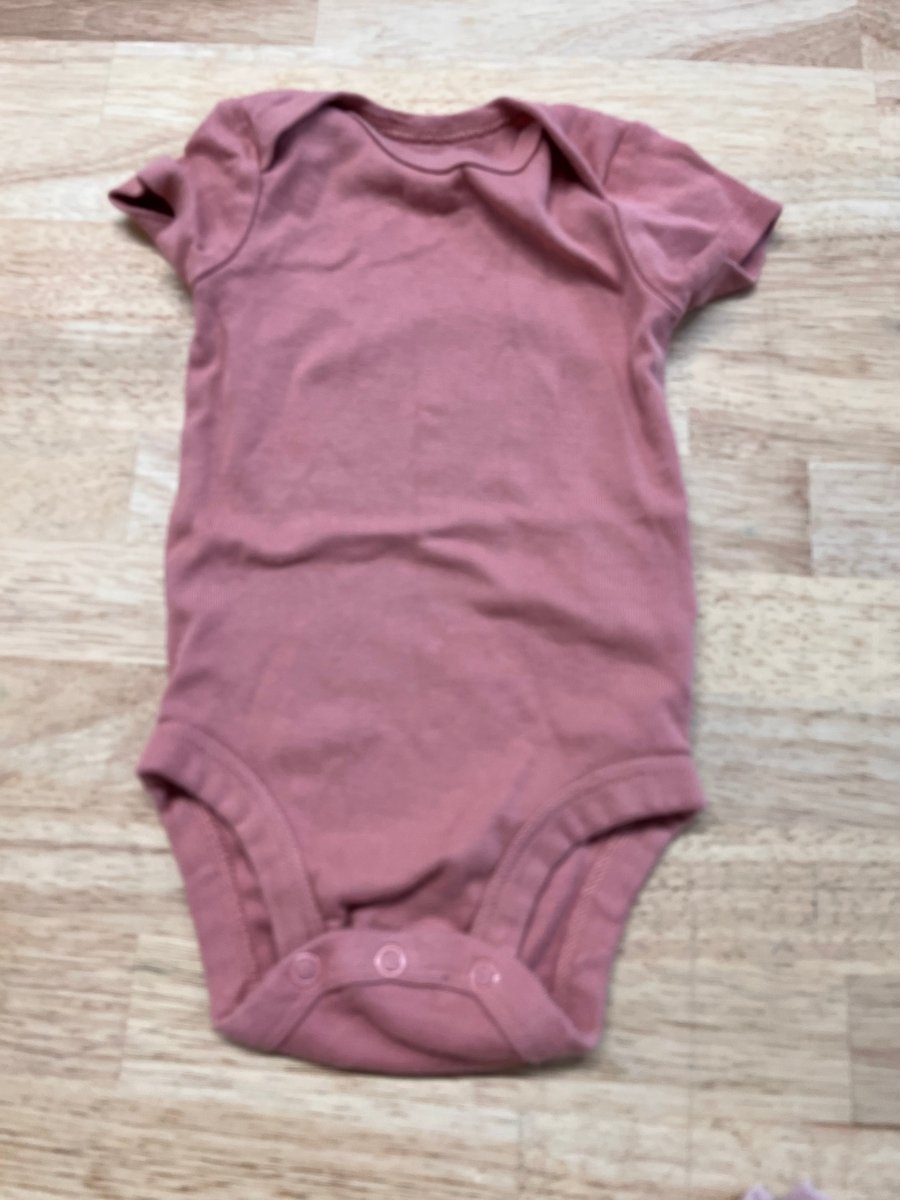 Carter’s Little Planet Bodysuit – Salmon, 3M - Nest and Sprout - Consignment