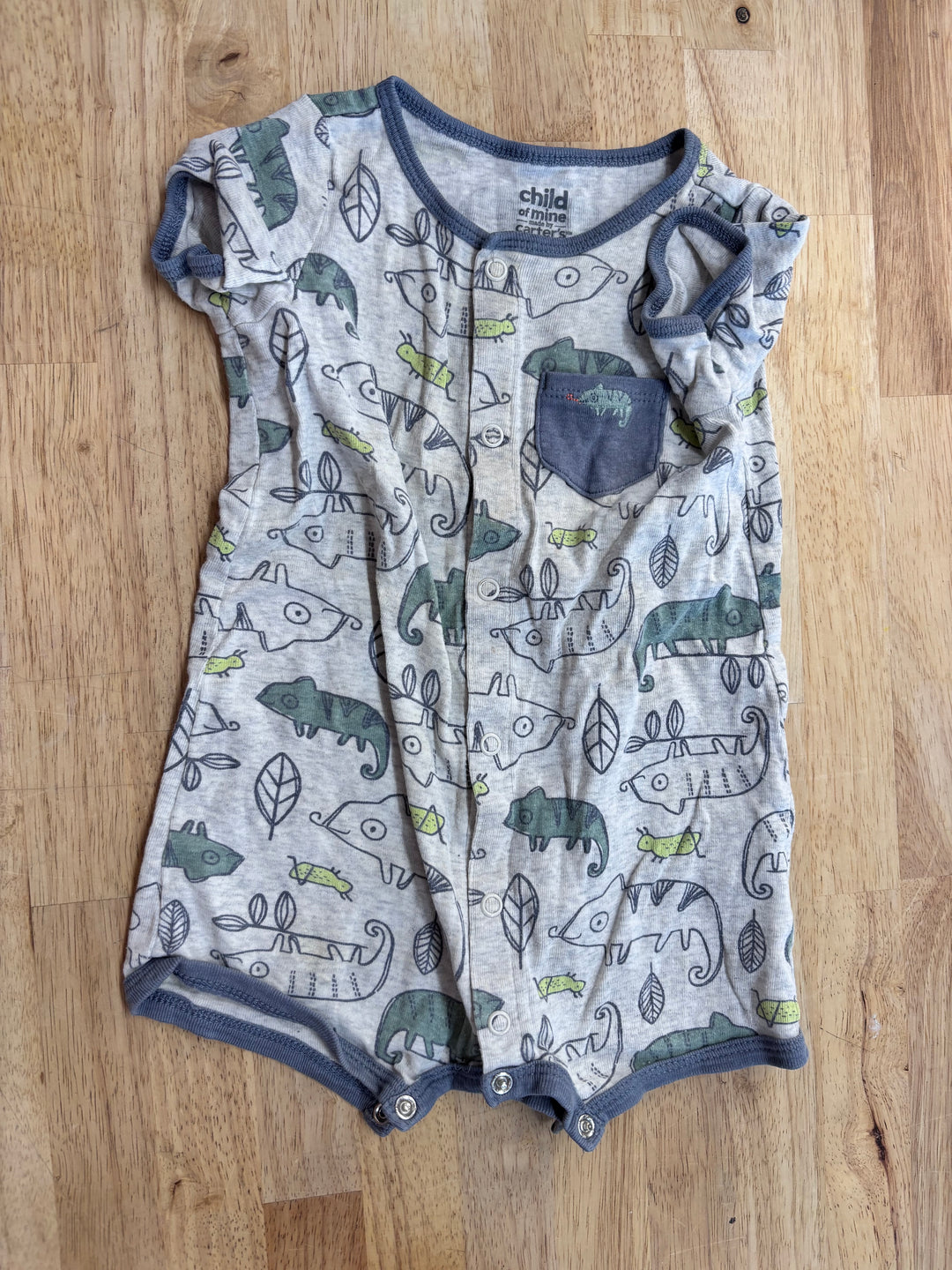 Carters “Child of Mine” Bug Romper (Fair)