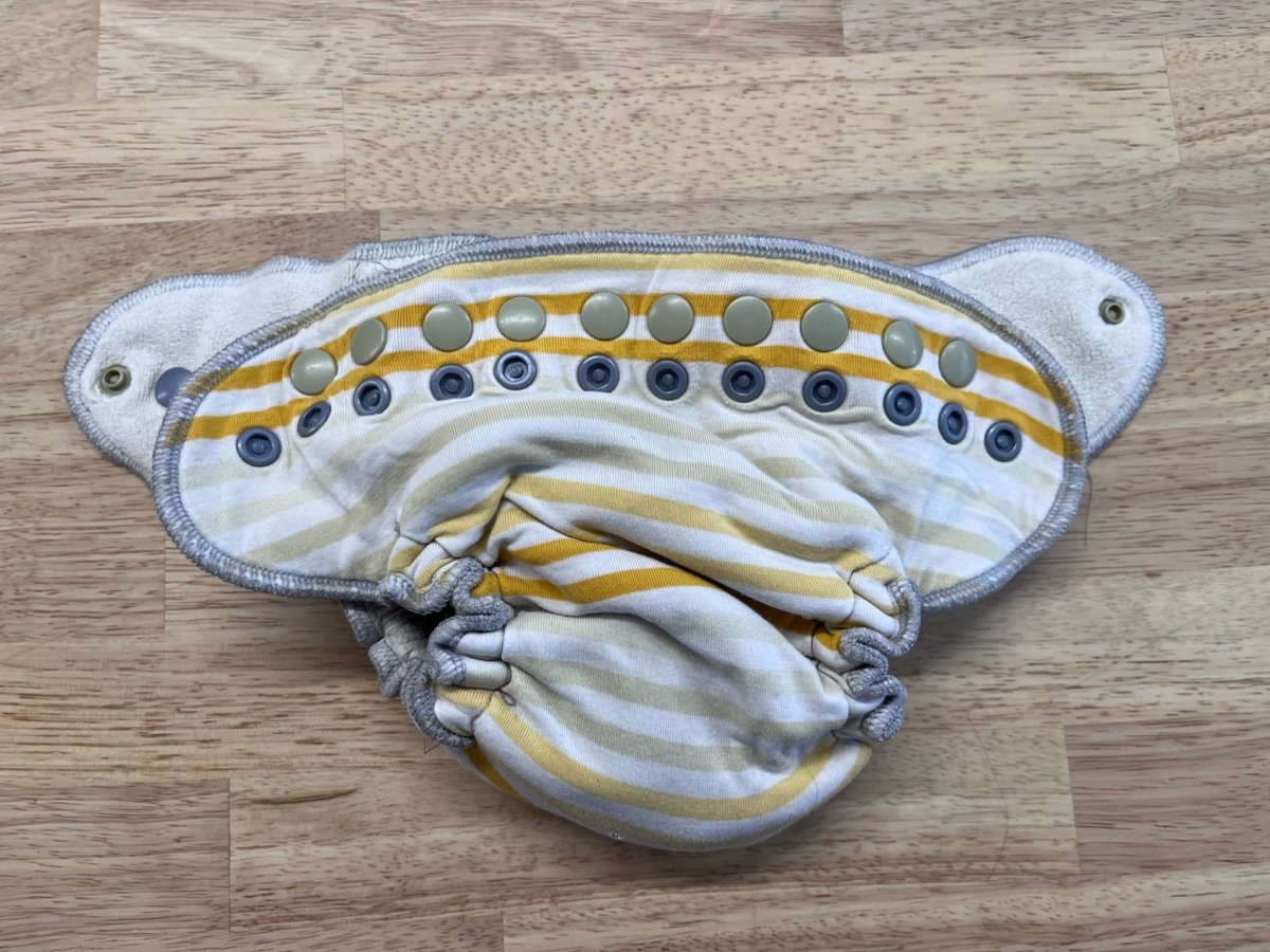 Lilly & Frank Petite Wind Pro Cloth Diaper - Nest and Sprout - Consignment