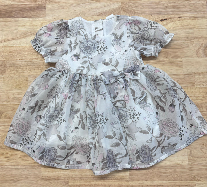 H&M Dress (6-9 Months, Bunnies and Birds)