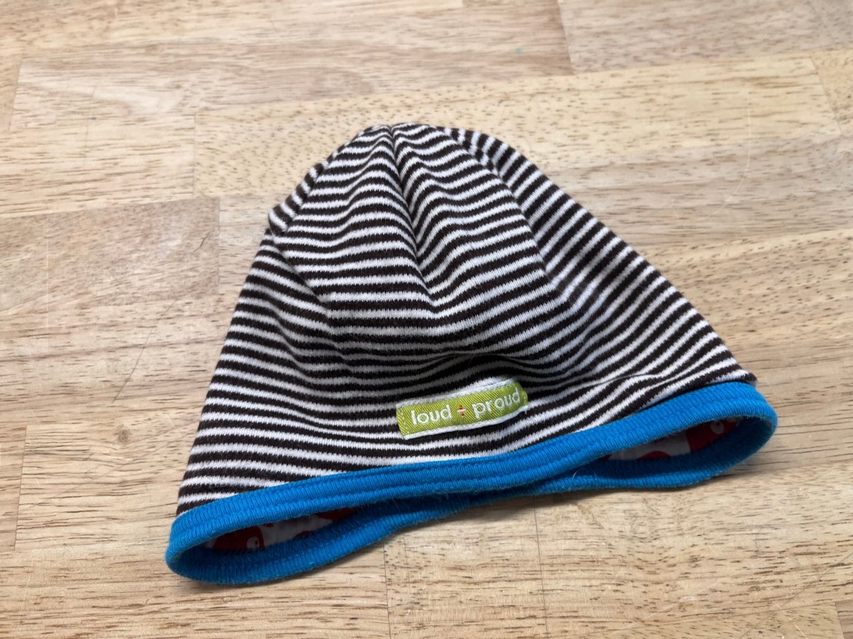 Loud + Proud Stripe Beanie – 3 - 9M - Nest and Sprout - Consignment