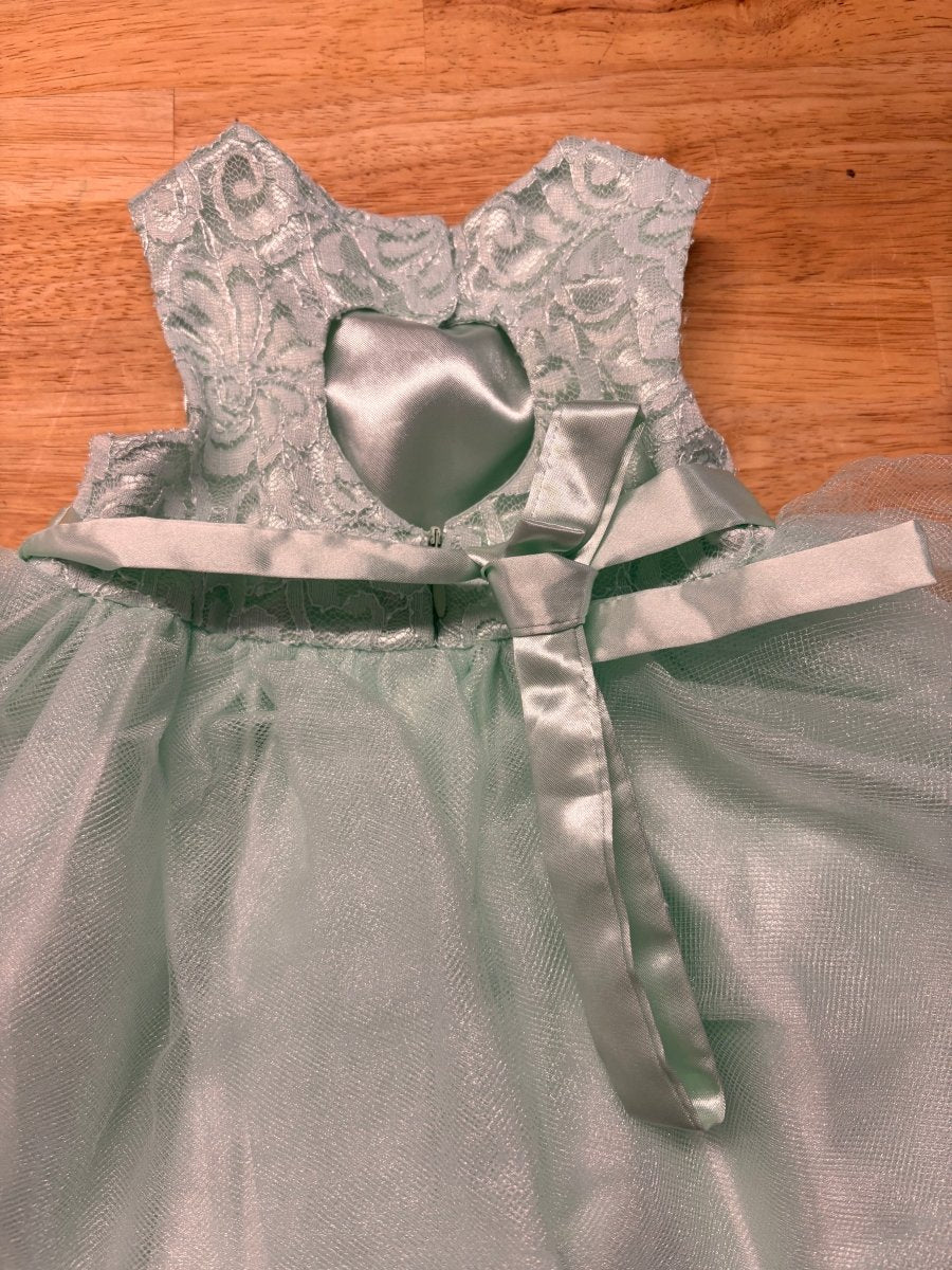 Cinderella Tulle Dress – 12M - Nest and Sprout - Consignment