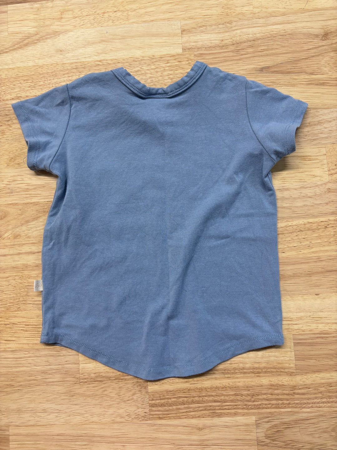 Jax & Lennon 6-12 Month Shirt (Blue Cap Sleeve)