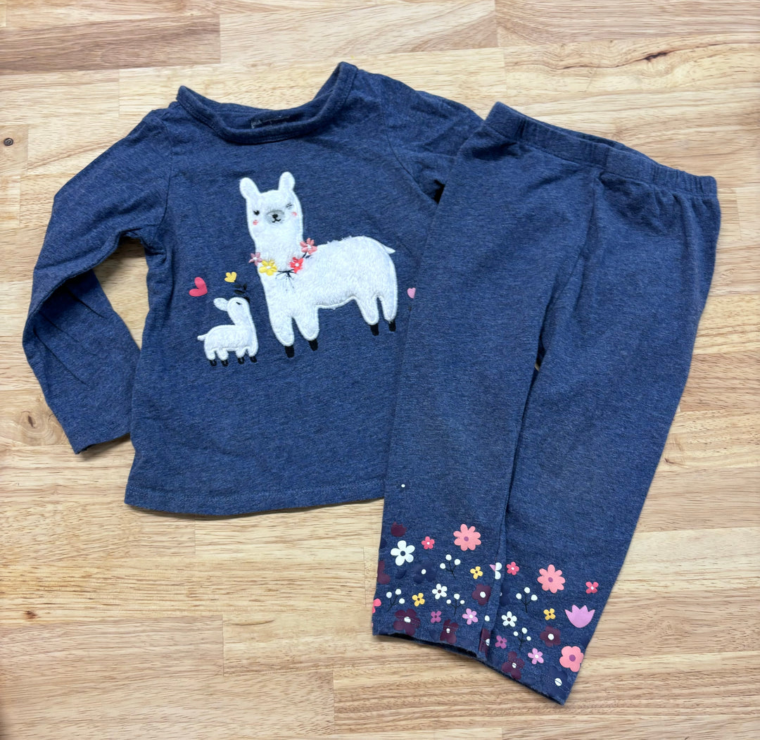 First Impressions Llama Long Sleeve 18M