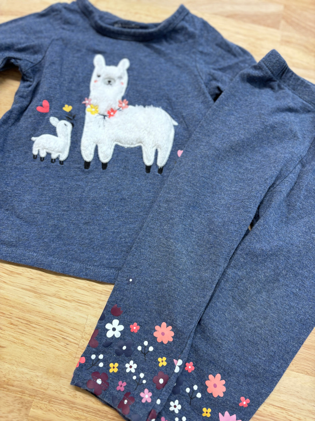 First Impressions Llama Long Sleeve 18M