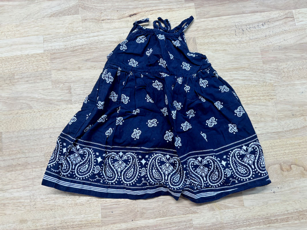 Gap Paisley Dress – Blue | 18–24M