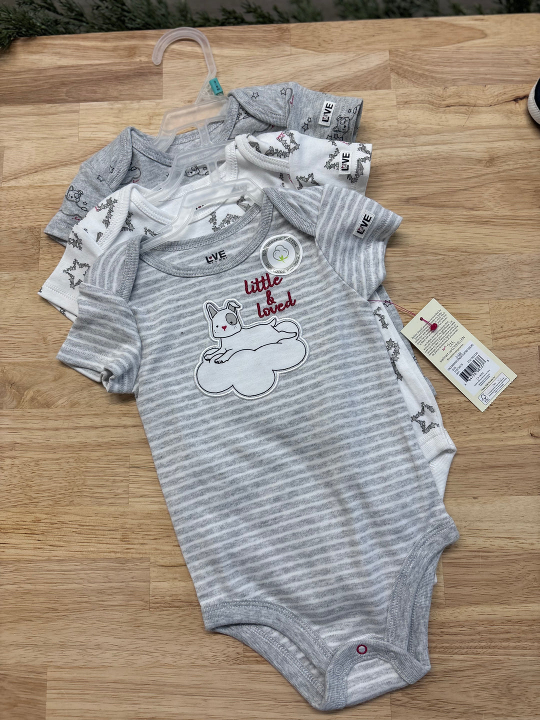 Ellen DeGeneres Bodysuit Pack - 3-6 Months