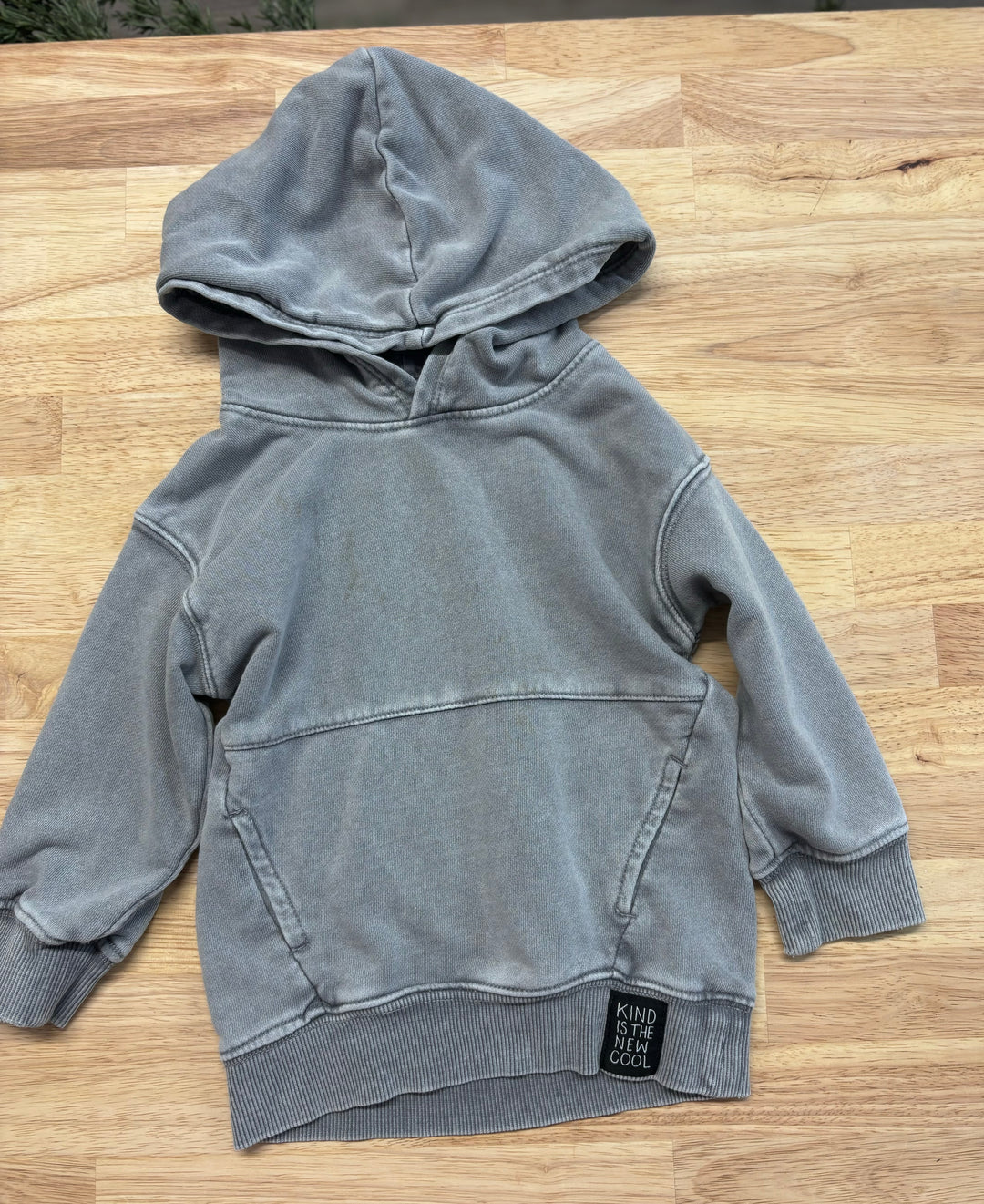 H&M Hoodie, Size 18-24 Months