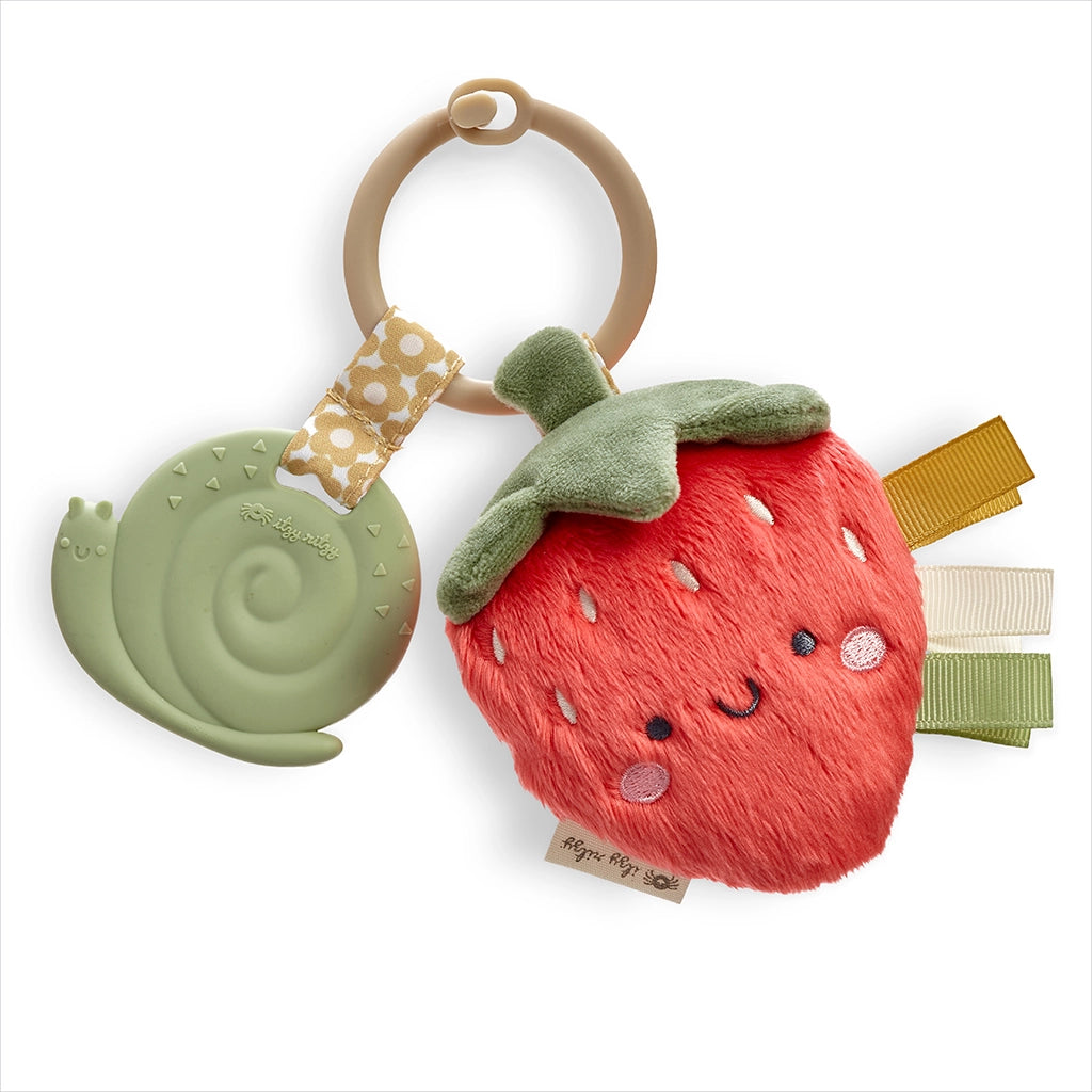 Itzy Pal™ Infant Toy | Teether & Lovey